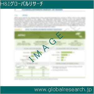 グローバルリサーチ調査レポートのイメージ